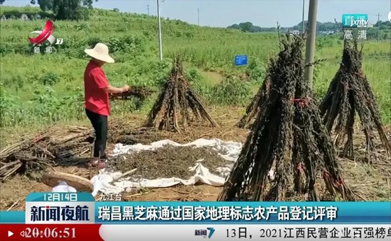 喜訊！“瑞昌黑芝麻”通過(guò)國(guó)家地理標(biāo)志農(nóng)產(chǎn)品登記評(píng)審！