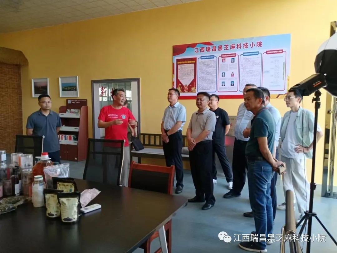市政府、市農(nóng)業(yè)農(nóng)村局領導來我公司調(diào)研